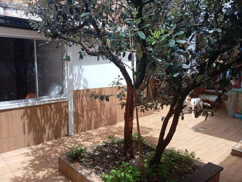 Casa en venta en Santa Isabel, Bogotá · foto 6 de 13