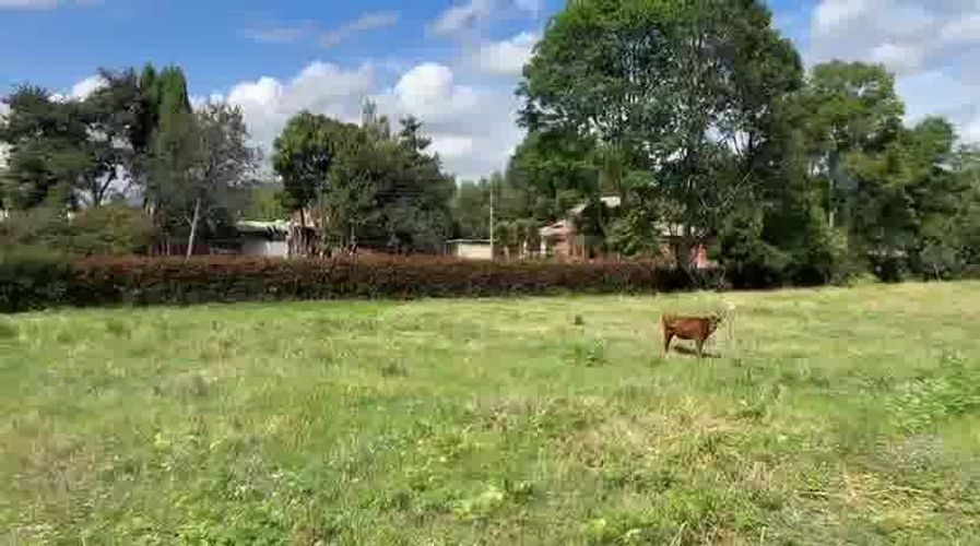 Lote en venta en Chuntame, Cajicá, 6 m² · foto 4 de 21