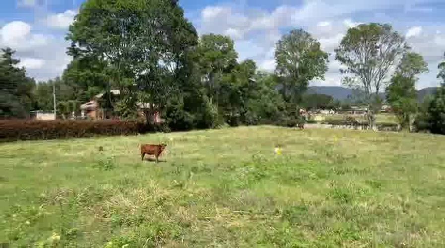Lote en venta en Chuntame, Cajicá, 6 m² · foto 10 de 21