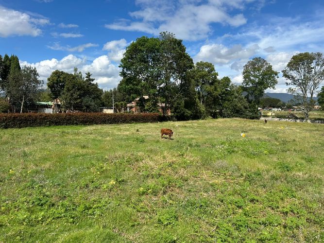 Lote en venta en Chuntame, Cajicá, 6 m² · foto 20 de 21