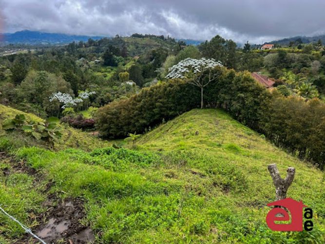 Finca en venta en El Retiro, 5000 m² · foto 9 de 16