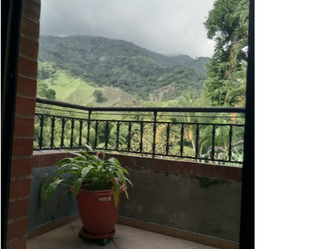Casa de 4 alcobas en venta en Belen, Ibagué, 214 m² · foto 14 de 18