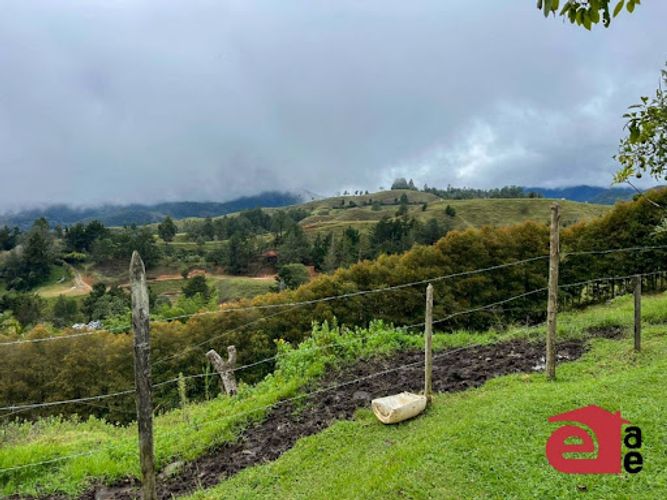 Finca en venta en El Retiro, 5000 m² · foto 11 de 16