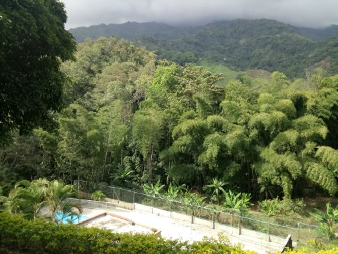 Casa de 4 alcobas en venta en Belen, Ibagué, 214 m² · foto 17 de 18