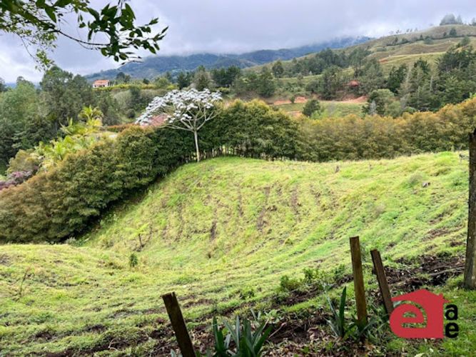 Finca en venta en El Retiro, 5000 m² · foto 13 de 16