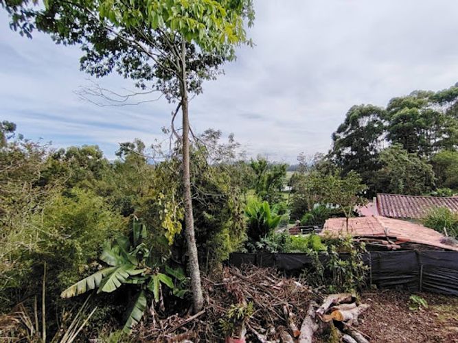 Finca en arriendo en Barro Blanco, Rionegro, 1000 m² · foto 21 de 22
