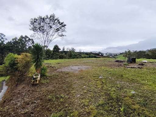 Lote en venta en Camargo, El Carmen de Viboral, 3005 m² · foto 2 de 11