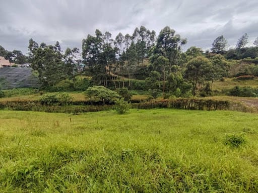 Lote en venta en Camargo, El Carmen de Viboral, 3005 m² · foto 5 de 11