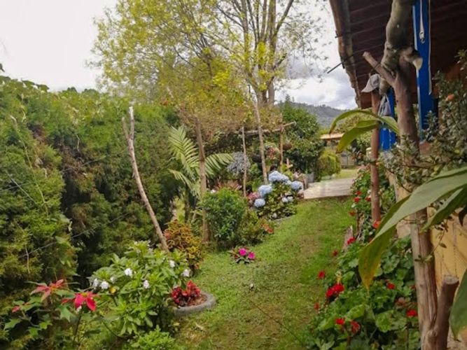 Finca en venta en El Molino, Guarne, 7268 m² · foto 7 de 21