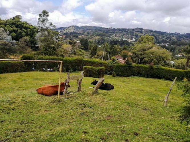 Finca en venta en El Molino, Guarne, 7268 m² · foto 9 de 21