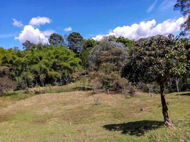 Finca en venta en El Molino, Guarne, 7268 m² · foto 14 de 21