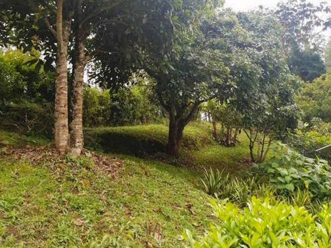 Finca en venta en El Molino, Guarne, 7268 m² · foto 18 de 21