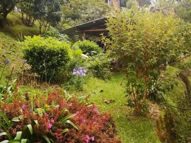 Finca en venta en El Molino, Guarne, 7268 m² · foto 19 de 21