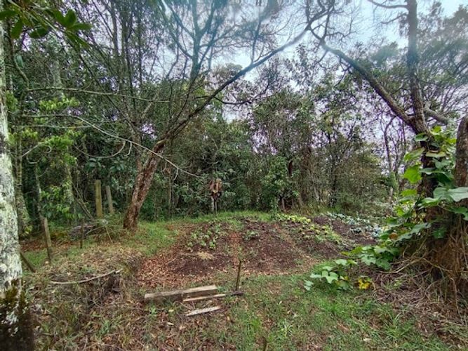 Finca en venta en Santa Elena, Medellín, 366 m² · foto 19 de 24