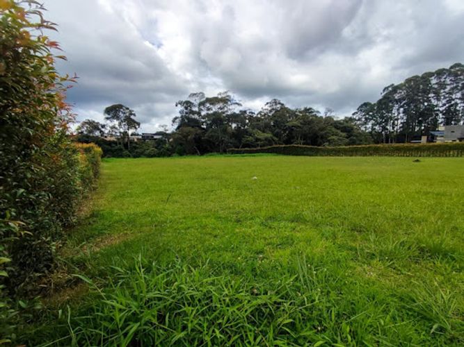 Lote en venta en El Carmen De Viboral, El Carmen de Viboral, 3059 m² · foto 6 de 8