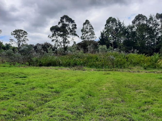 Lote en venta en El Tablazo, Rionegro, 22400 m² · foto 4 de 11