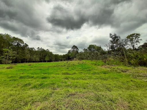 Lote en venta en El Tablazo, Rionegro, 22400 m² · foto 8 de 11