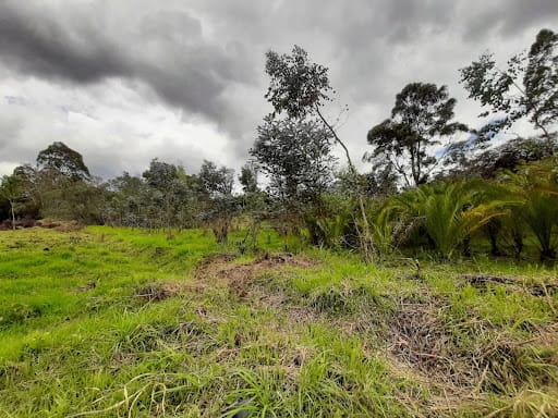 Lote en venta en El Tablazo, Rionegro, 22400 m² · foto 9 de 11