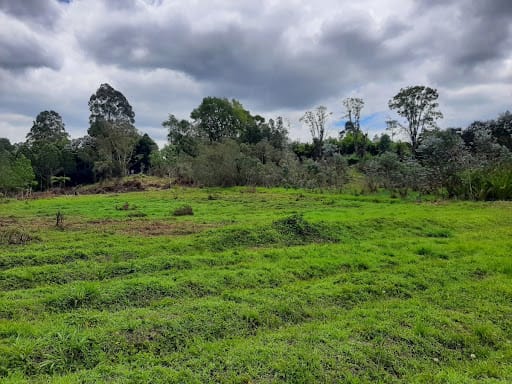 Lote en venta en El Tablazo, Rionegro, 22400 m² · foto 10 de 11