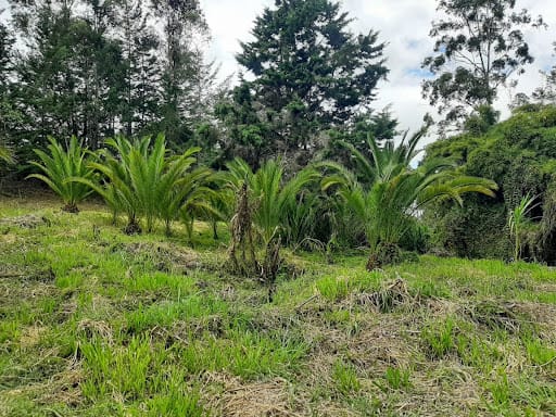 Lote en venta en El Tablazo, Rionegro, 22400 m² · foto 11 de 11