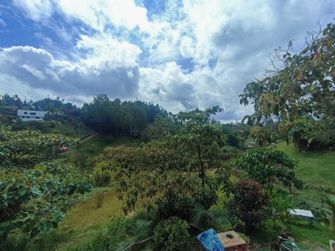 Finca en venta en El Carmin, Rionegro, 90 m² · foto 11 de 15