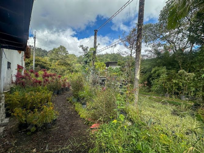 Lote en arriendo en Don Diego, El Retiro, 4000 m² · foto 10 de 20
