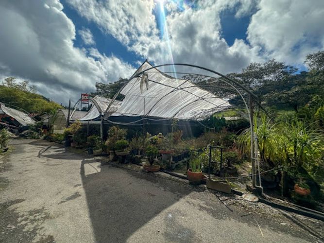 Lote en arriendo en Don Diego, El Retiro, 4000 m² · foto 11 de 20