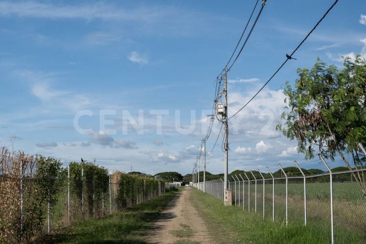 Lote en venta en Rozo, Palmira · foto 3 de 14