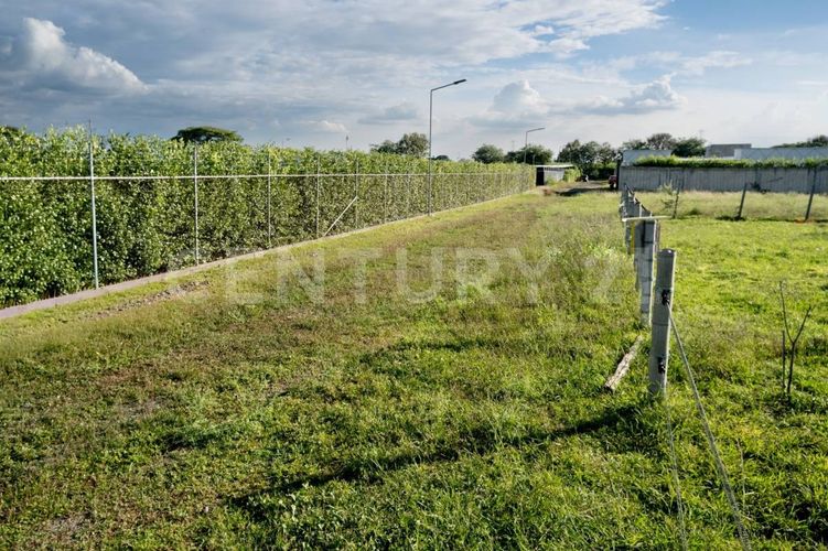 Lote en venta en Rozo, Palmira · foto 4 de 14
