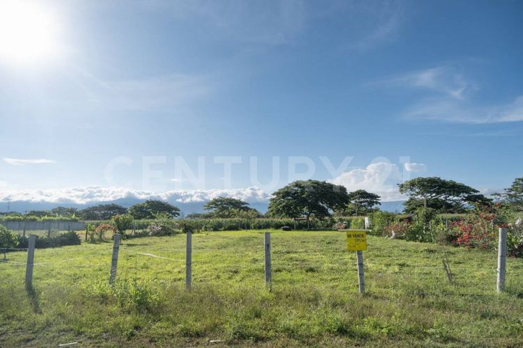 Lote en venta en Rozo, Palmira · foto 5 de 14