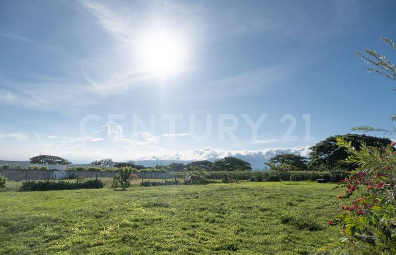 Lote en venta en Rozo, Palmira · foto 6 de 14