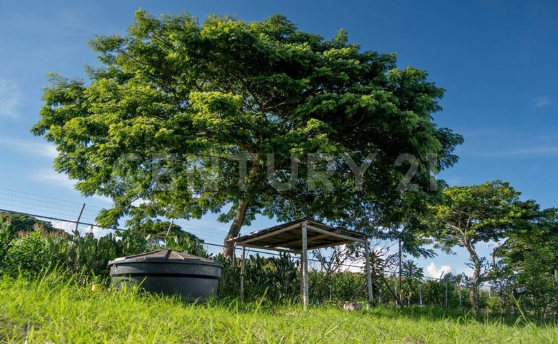 Lote en venta en Rozo, Palmira · foto 11 de 14