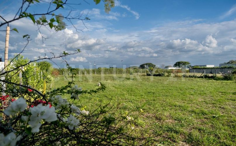 Lote en venta en Rozo, Palmira · foto 13 de 14