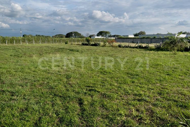 Lote en venta en Rozo, Palmira · foto 14 de 14