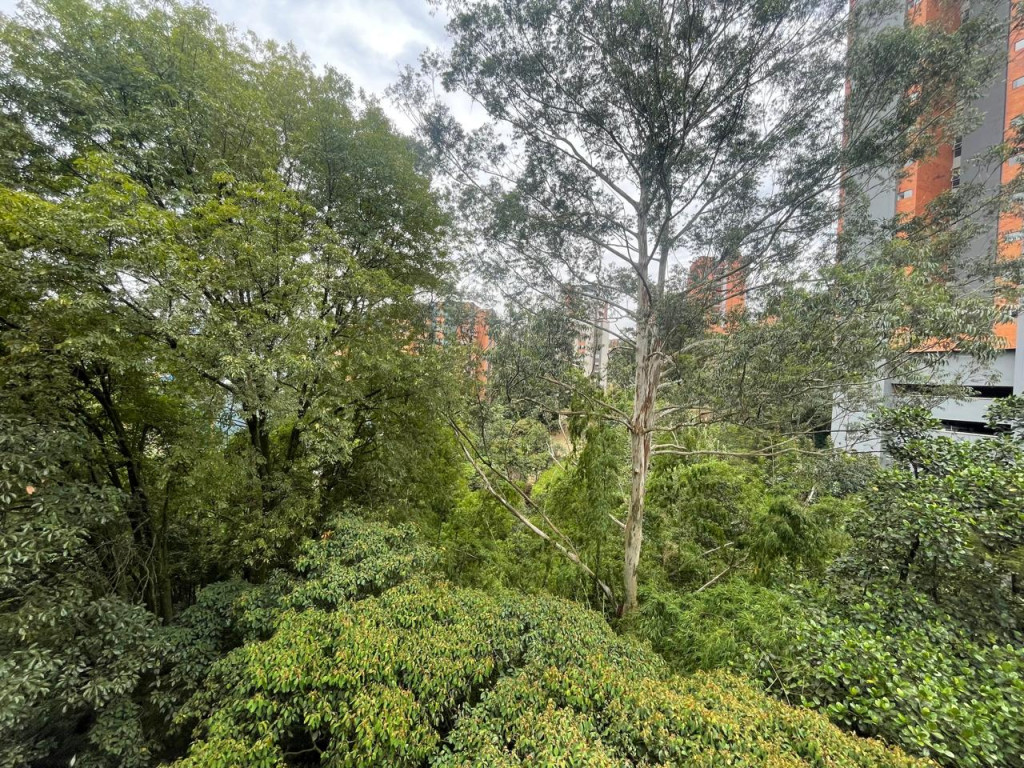 Apartamento en venta en Loma Del Escobero, Envigado · foto 5 de 13