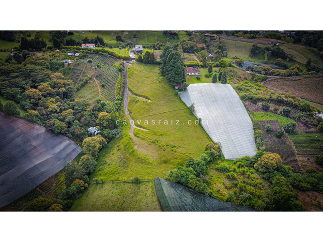 Lote en venta en La Sonadora, El Carmen de Viboral, 3333 m² · foto 3 de 5