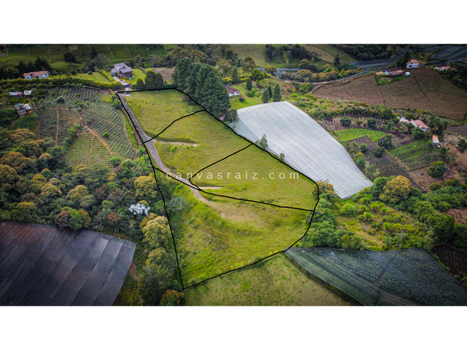 Lote en venta en La Sonadora, El Carmen de Viboral, 3333 m² · foto 4 de 5