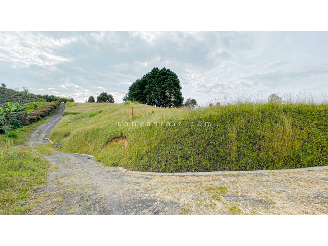 Lote en venta en La Sonadora, El Carmen de Viboral, 3333 m² · foto 5 de 5