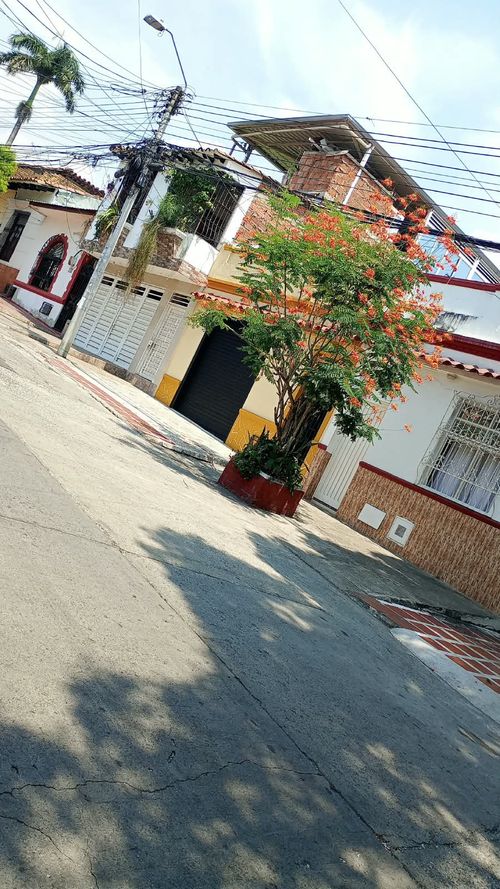 Local en arriendo en San Cayetano, Cali, 15 m² · foto 9 de 9