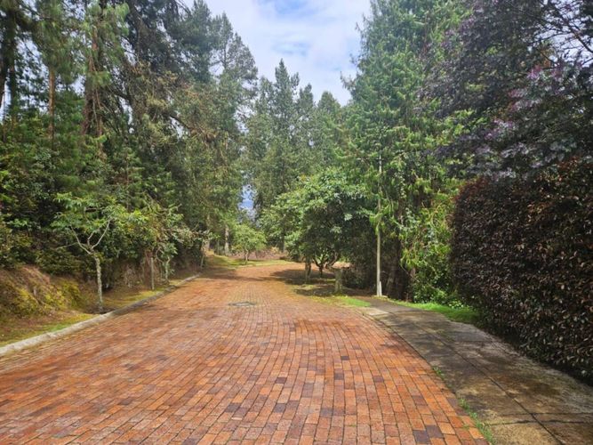Casa en venta en Arboretto, Bogotá, 1115 m² · foto 20 de 21