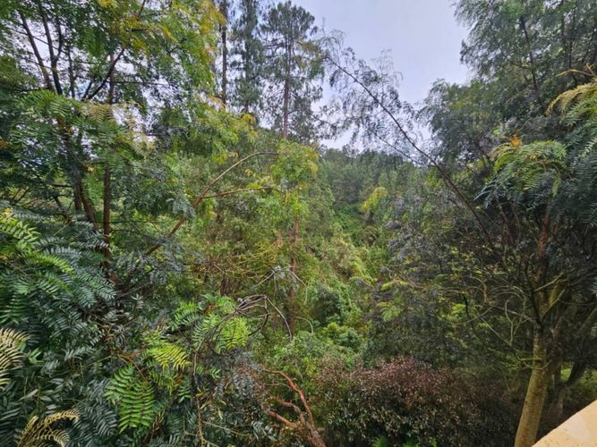 Casa en venta en Arboretto, Bogotá, 1115 m² · foto 21 de 21