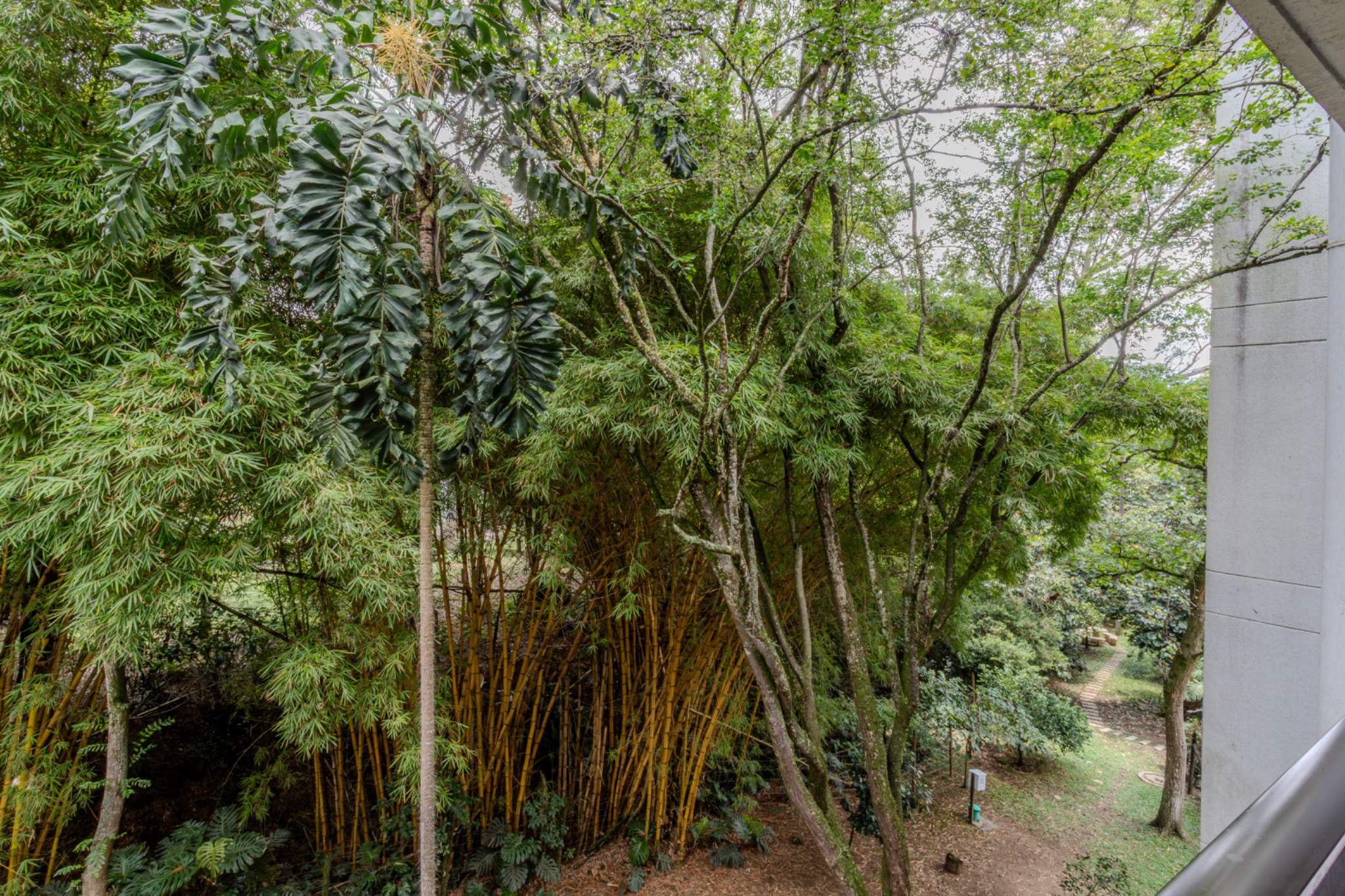 Apartamento en venta en El Poblado, Medellín · foto 4 de 18