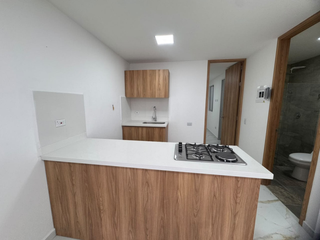 1BR Apartment in Centro (40 m²) - 4
