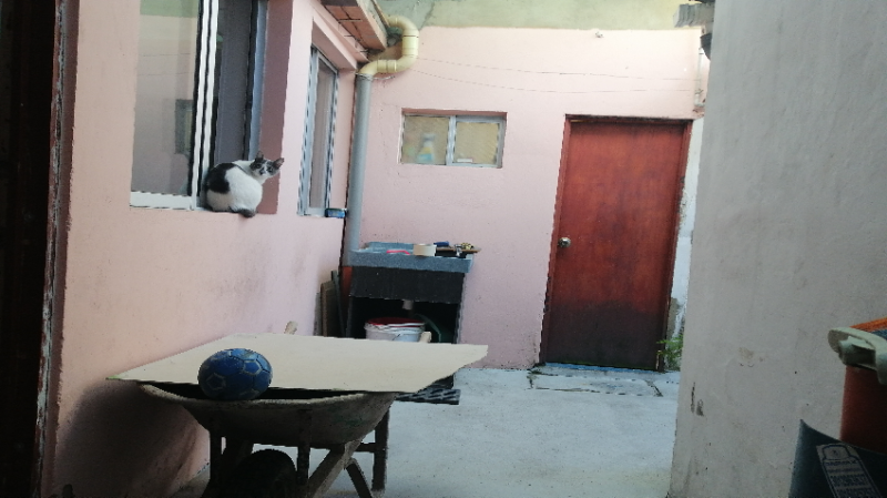 Casa en venta en San Fernando, Bogotá · foto 7 de 8