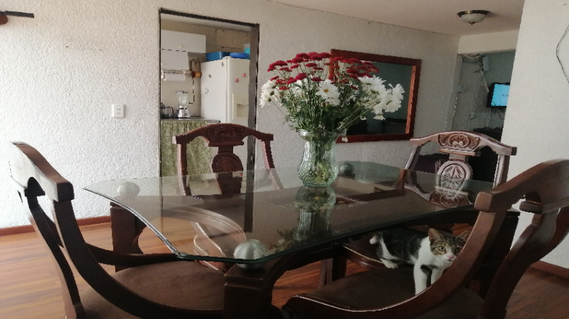 Casa en venta en Villa Luz, Bogotá · foto 7 de 24