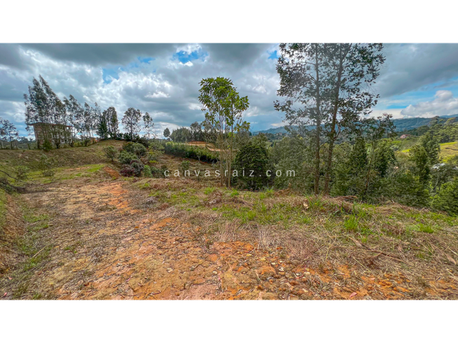 Lote en venta en La Mosquita, Guarne, 9300 m² · foto 3 de 4
