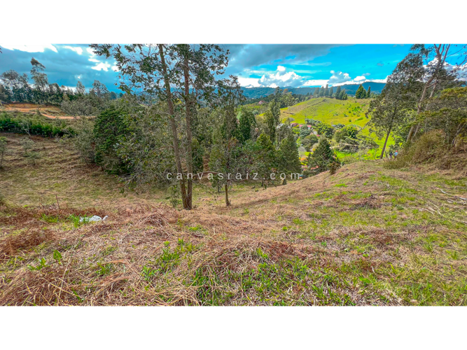 Lote en venta en La Mosquita, Guarne, 9300 m² · foto 4 de 4