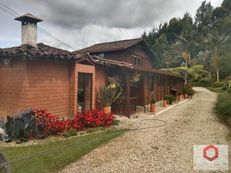 House for rent in Centro, Rionegro