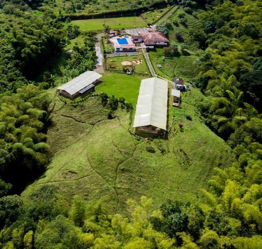Finca en venta en Tribunas Corcega, Pereira, 1150 m² · foto 5 de 22