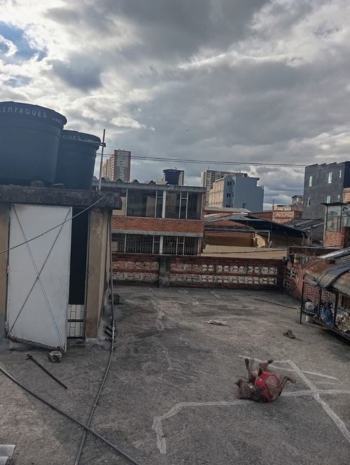 Casa de 6 alcobas en venta en La Pradera, Bogotá, 350 m² · foto 16 de 20
